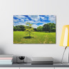 Sunny Day - Stretched Canvas Print