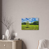 Sunny Day - Stretched Canvas Print