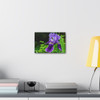 Violet Iris - Stretched Canvas Print