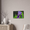 Violet Iris - Stretched Canvas Print