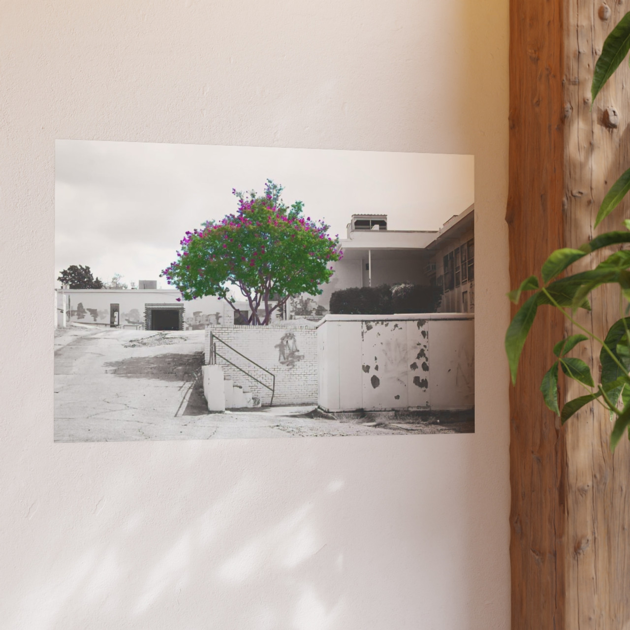 Beauty Among Ruins - Photographic Print