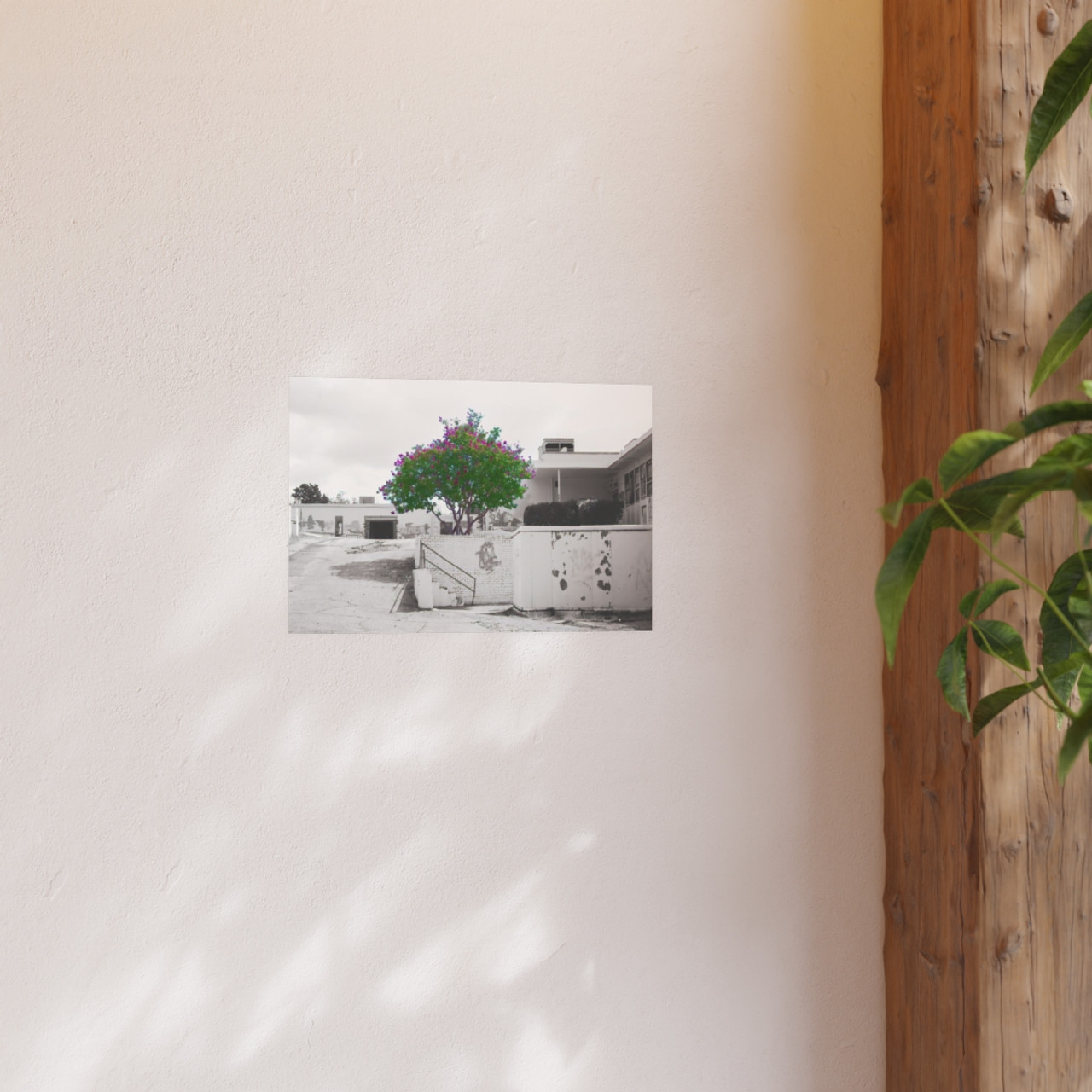 Beauty Among Ruins - Photographic Print