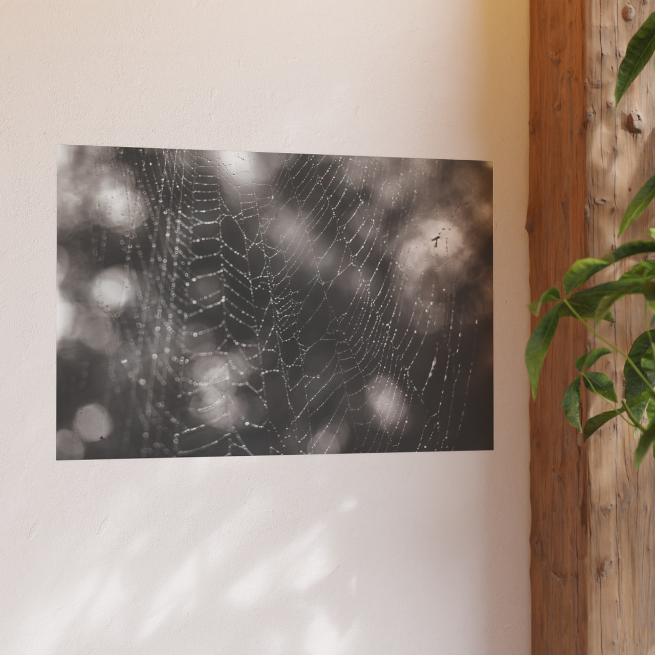 The Webs We Weave - Photographic Print