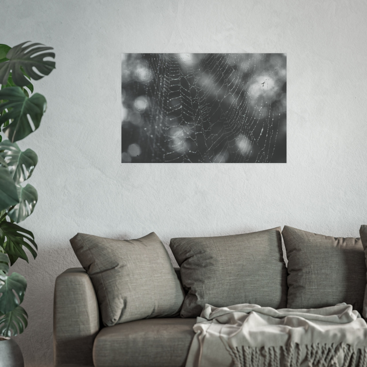 The Webs We Weave - Photographic Print