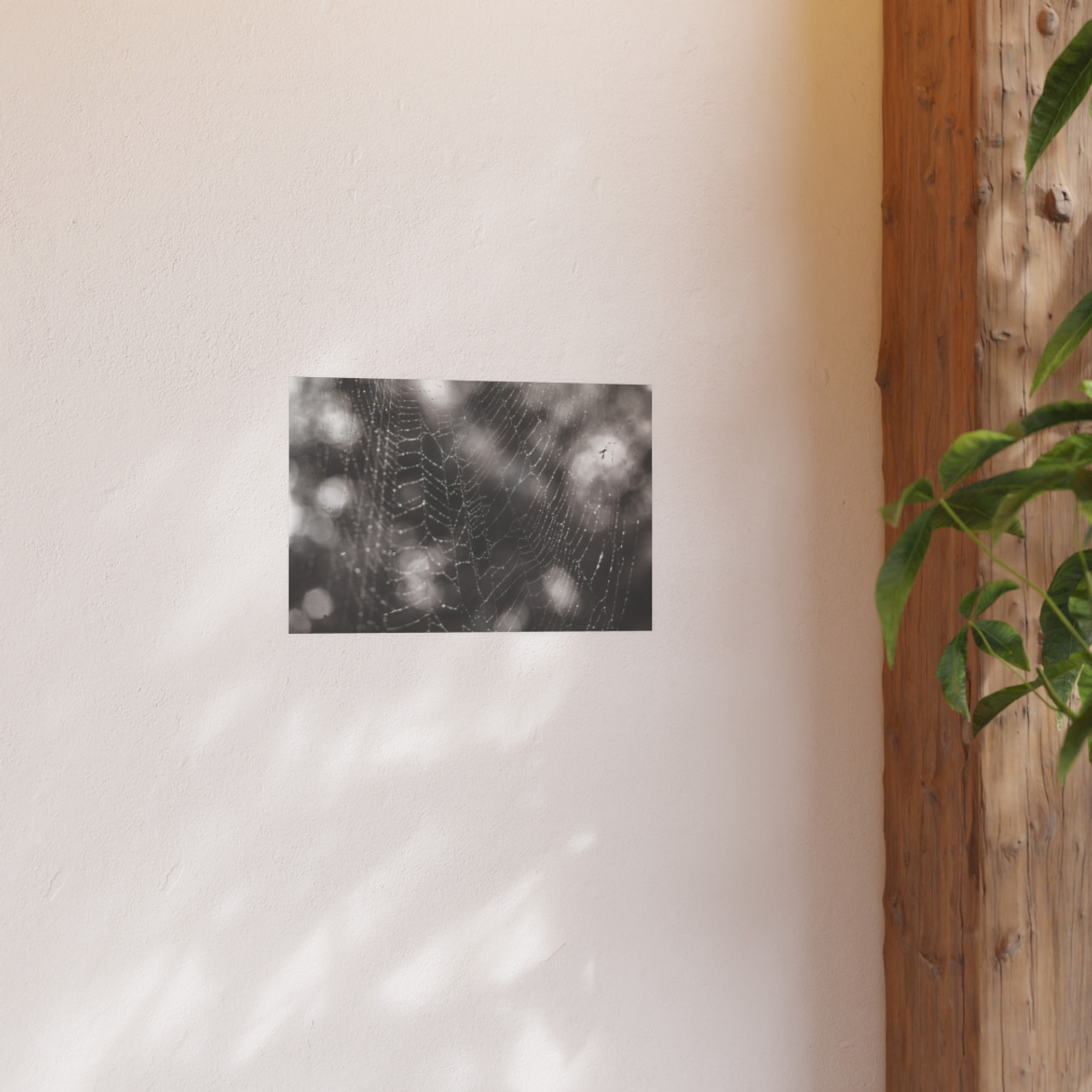 The Webs We Weave - Photographic Print