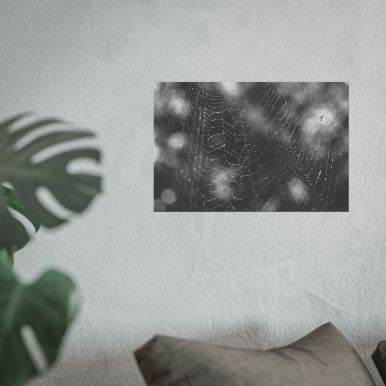 The Webs We Weave - Photographic Print