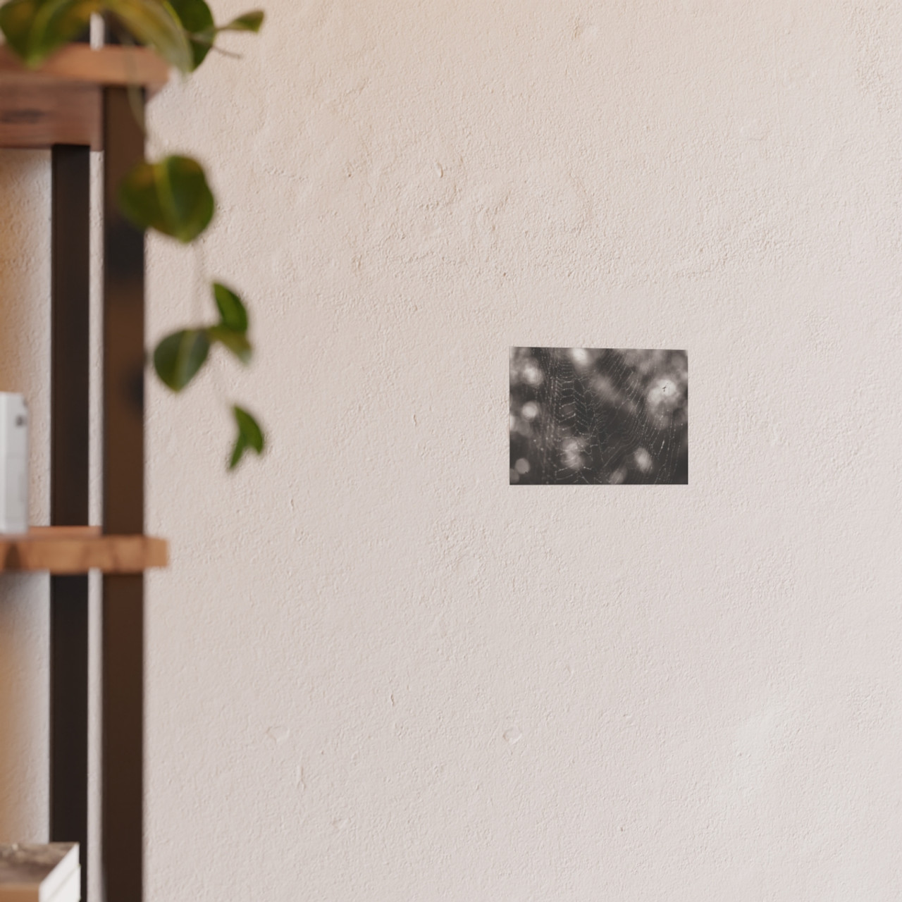 The Webs We Weave - Photographic Print