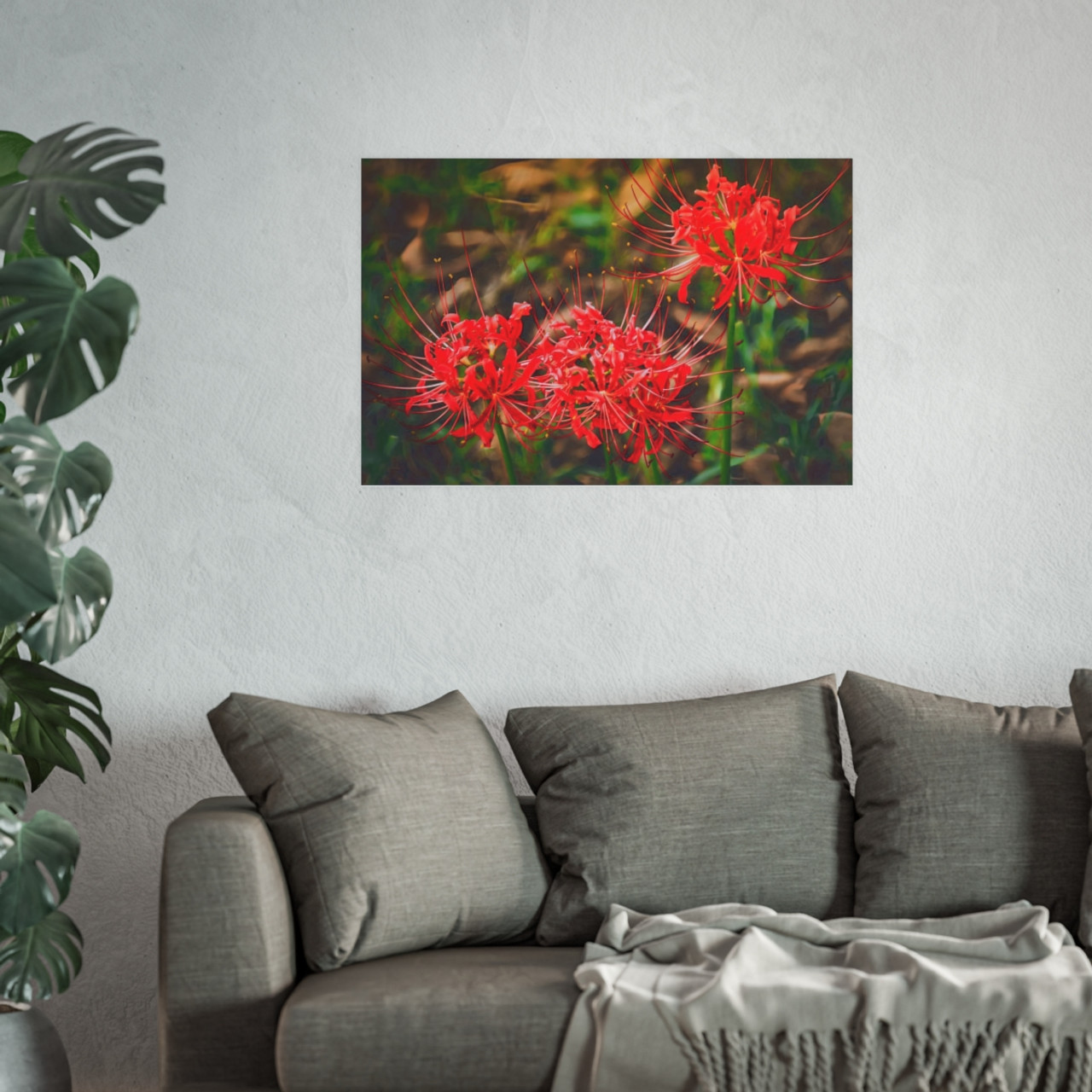 Red Spiders - Photographic Print
