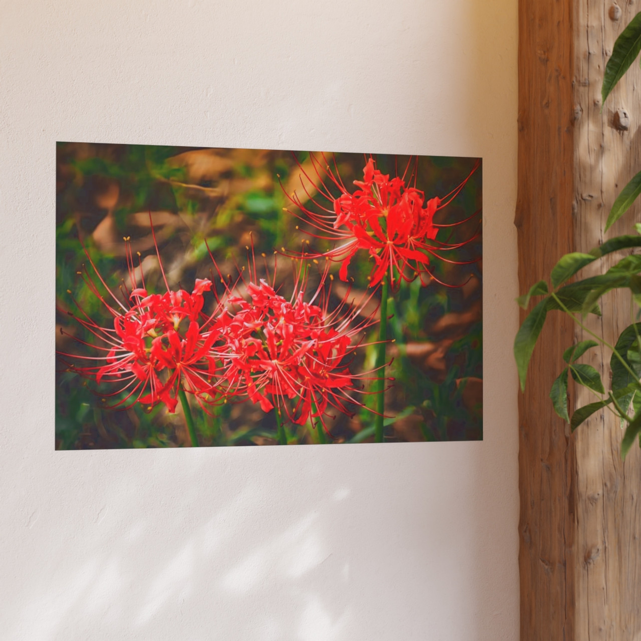 Red Spiders - Photographic Print