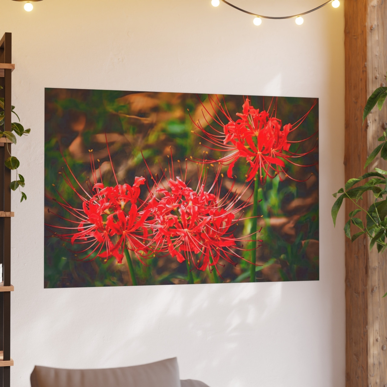 Red Spiders - Photographic Print