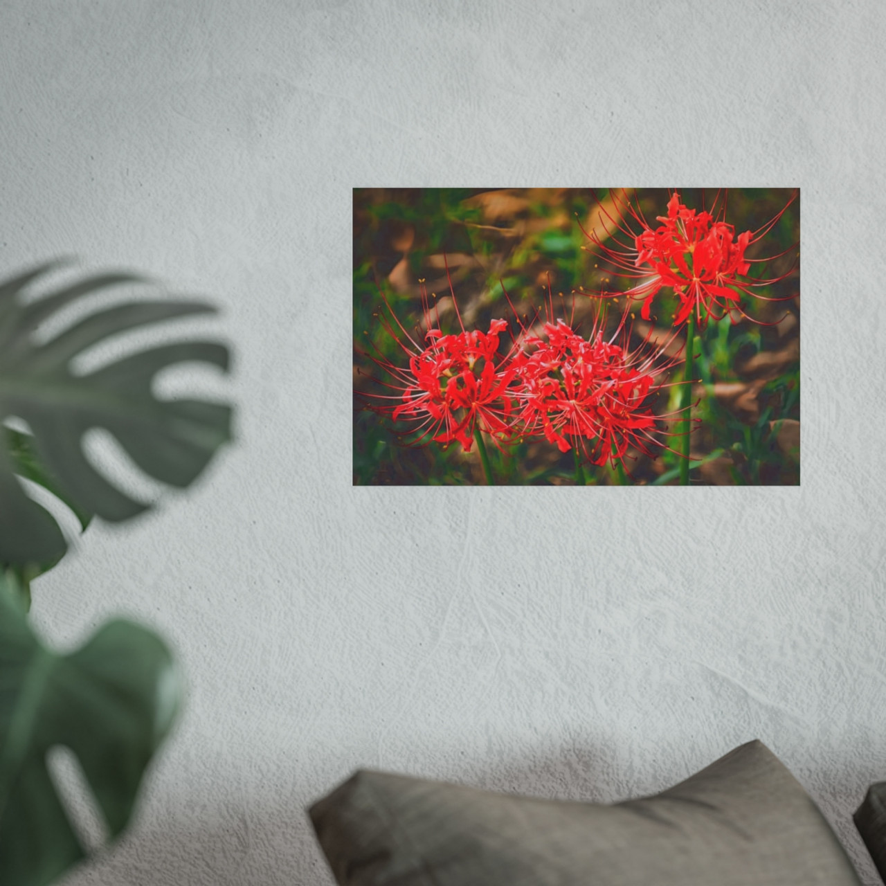 Red Spiders - Photographic Print