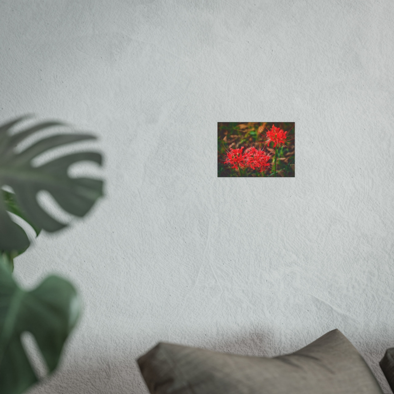 Red Spiders - Photographic Print