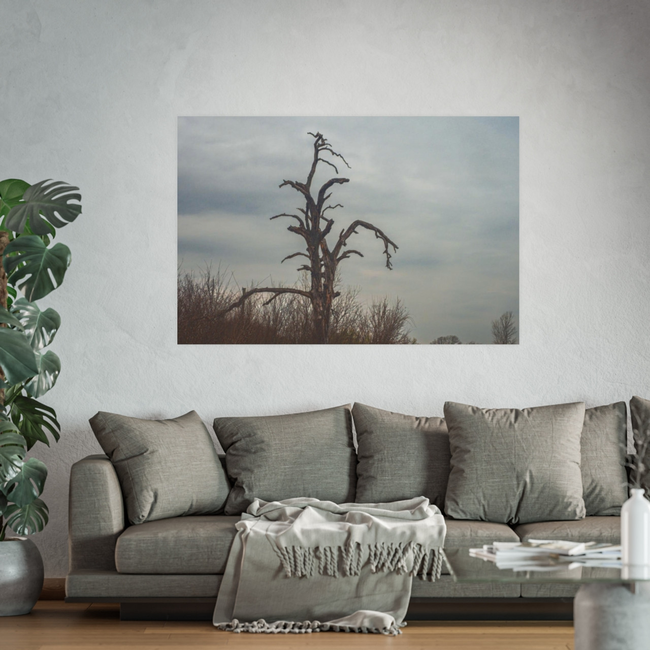 Lonely Oak - Photographic Print