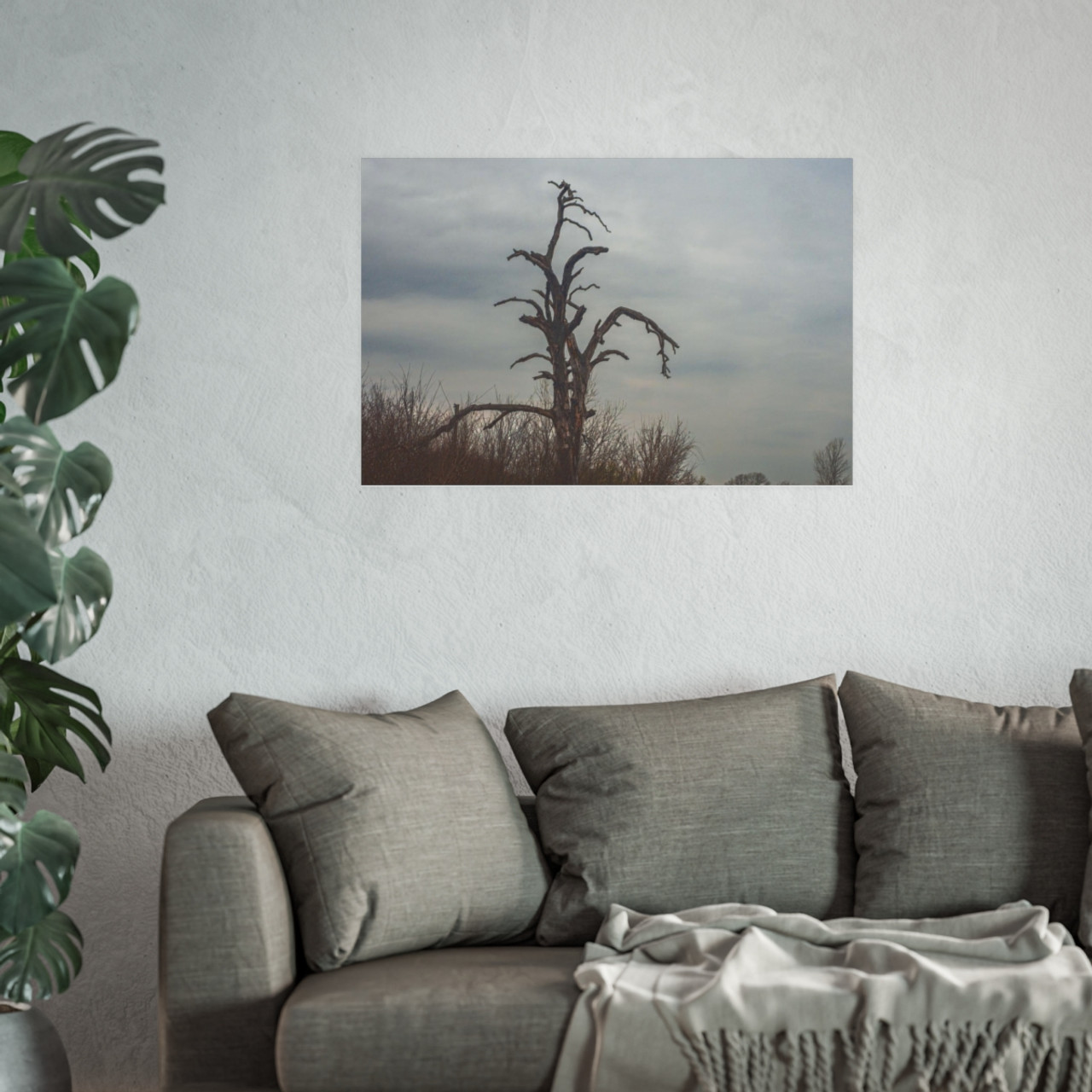 Lonely Oak - Photographic Print
