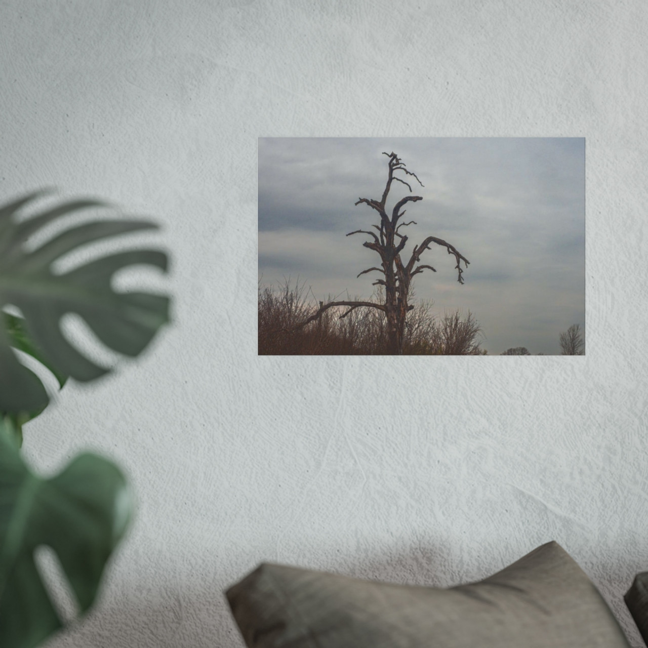Lonely Oak - Photographic Print