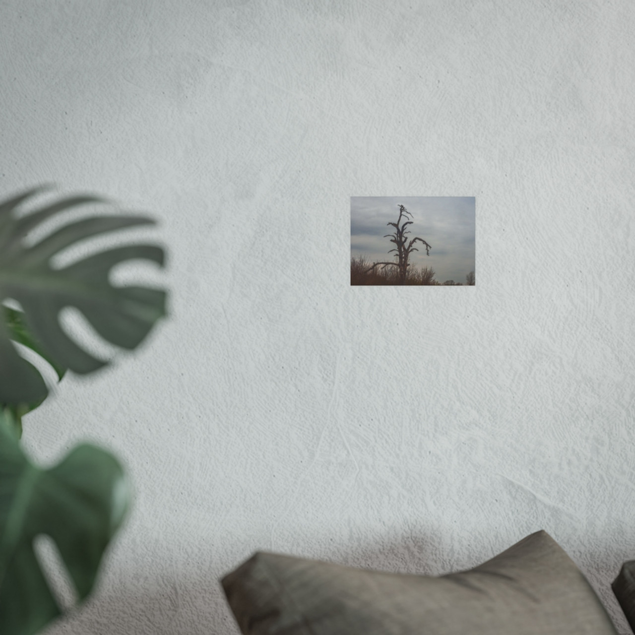 Lonely Oak - Photographic Print