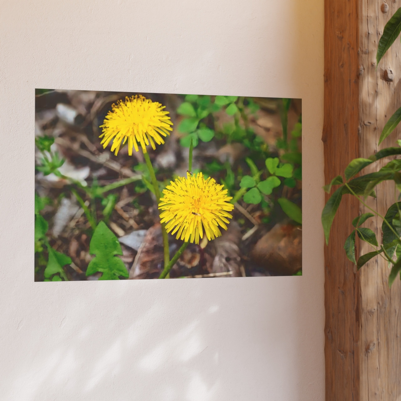 Just Dandy - Photographic Print