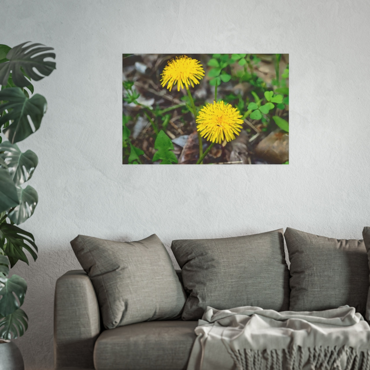Just Dandy - Photographic Print