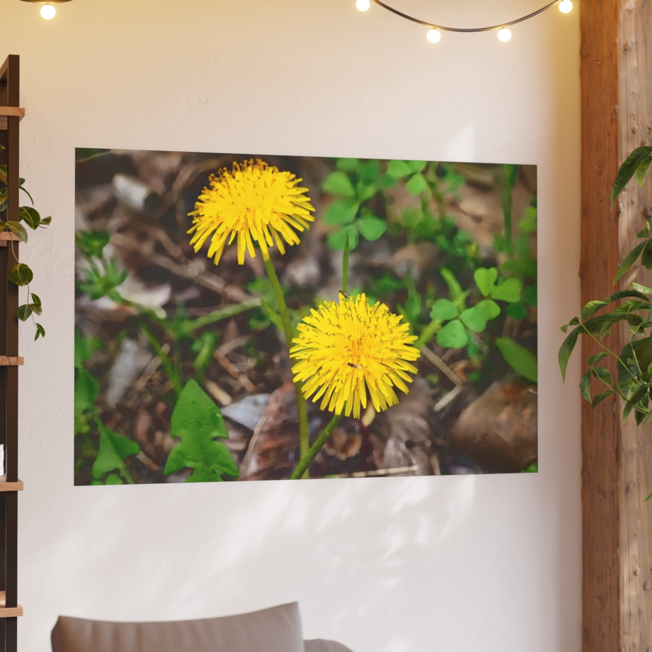 Just Dandy - Photographic Print