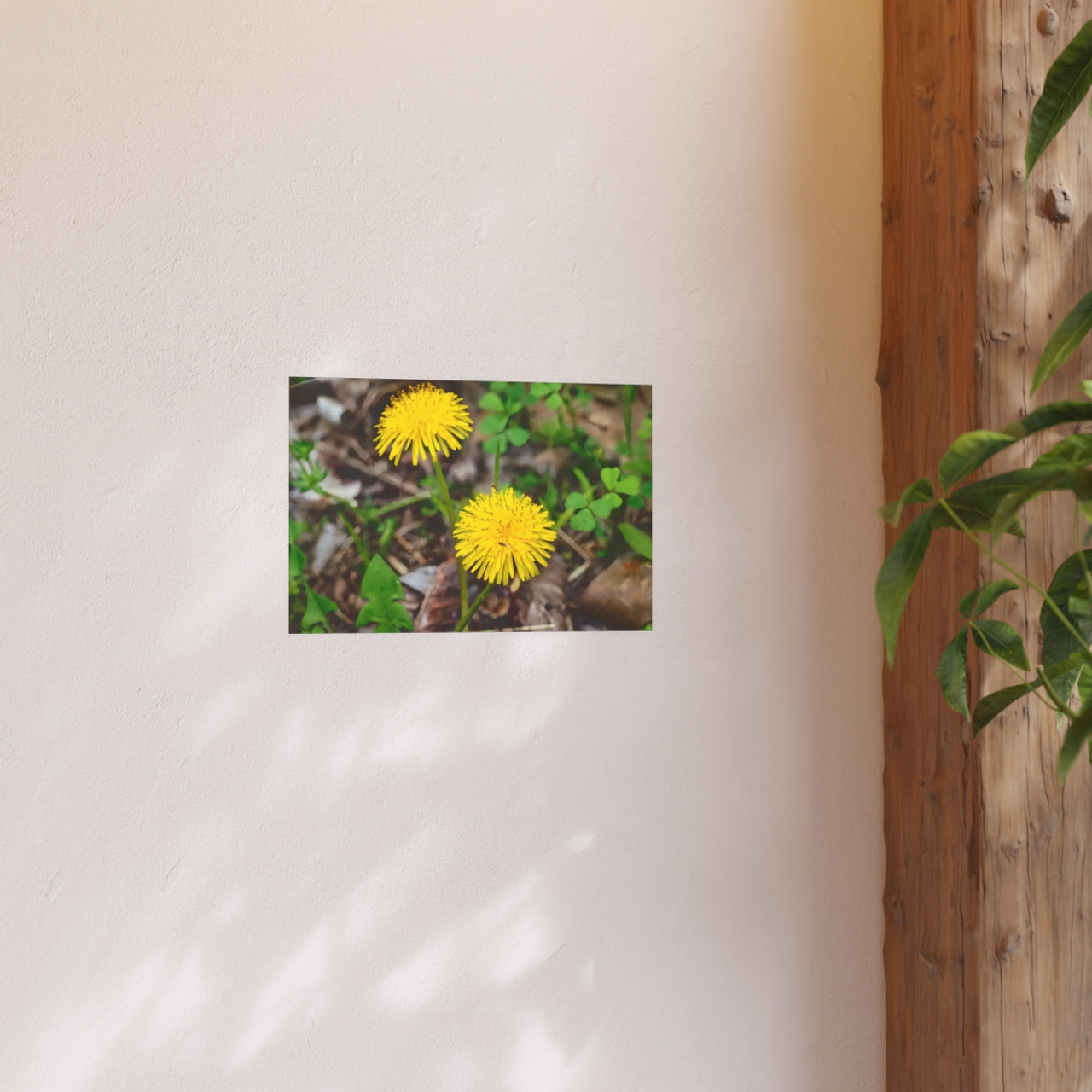 Just Dandy - Photographic Print