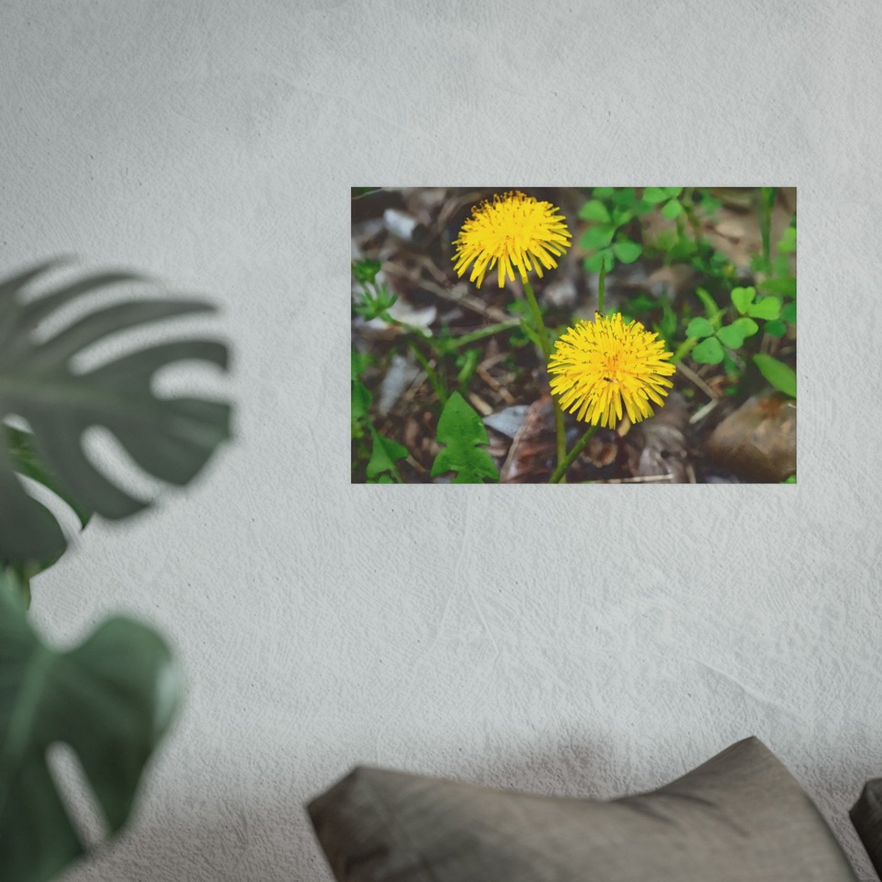 Just Dandy - Photographic Print