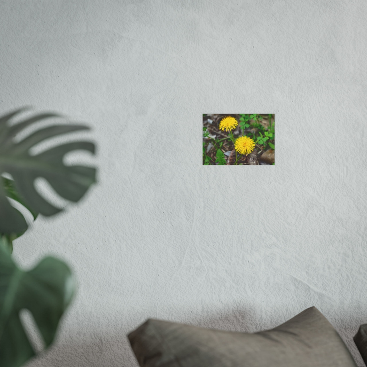 Just Dandy - Photographic Print