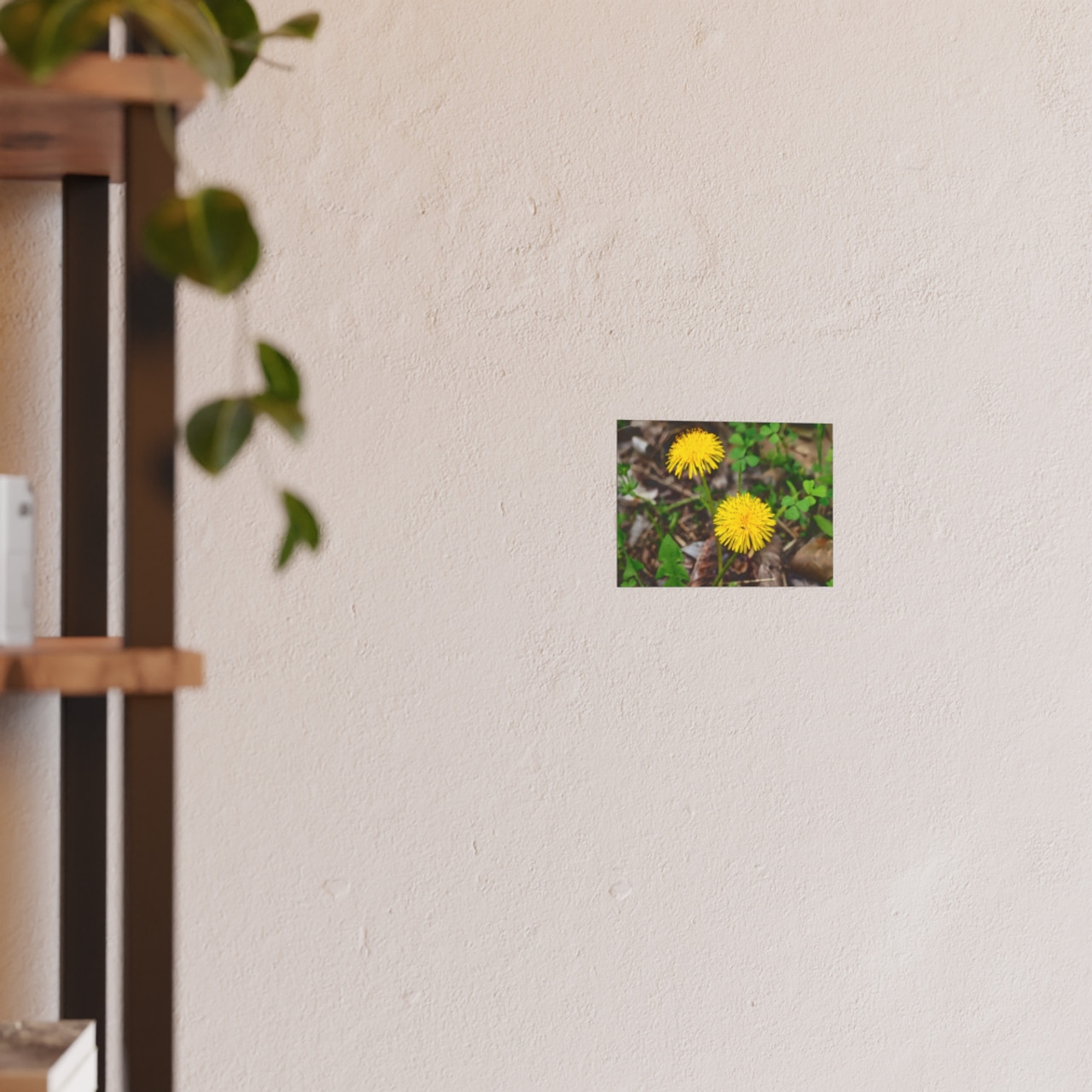 Just Dandy - Photographic Print