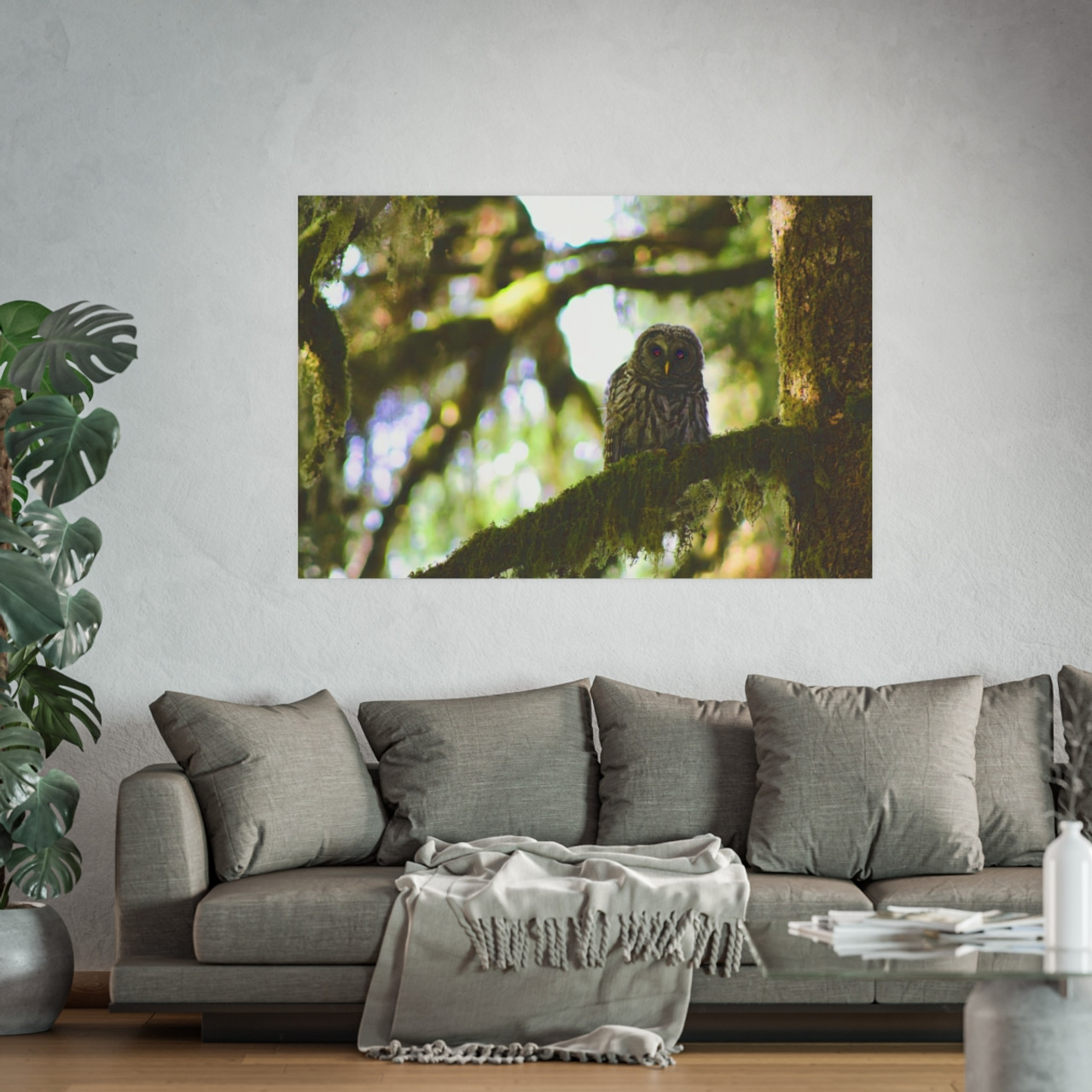 Owl Kami - Photographic Print