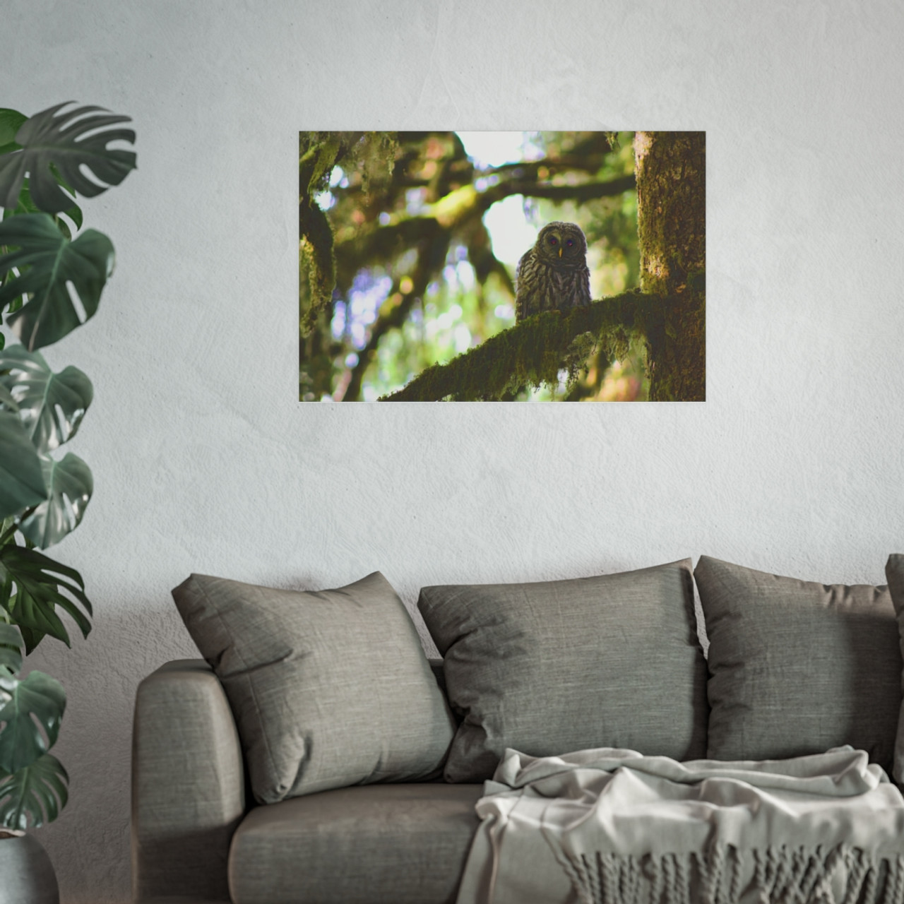 Owl Kami - Photographic Print