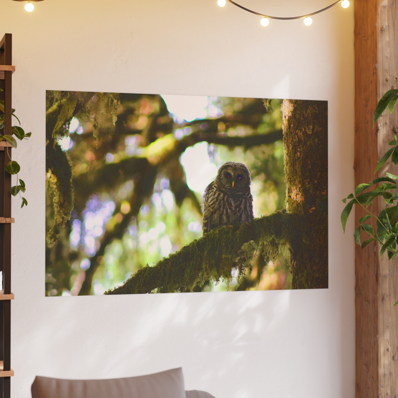 Owl Kami - Photographic Print