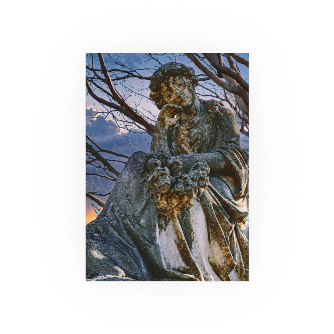 Thoughtful Guardian - Photographic Print