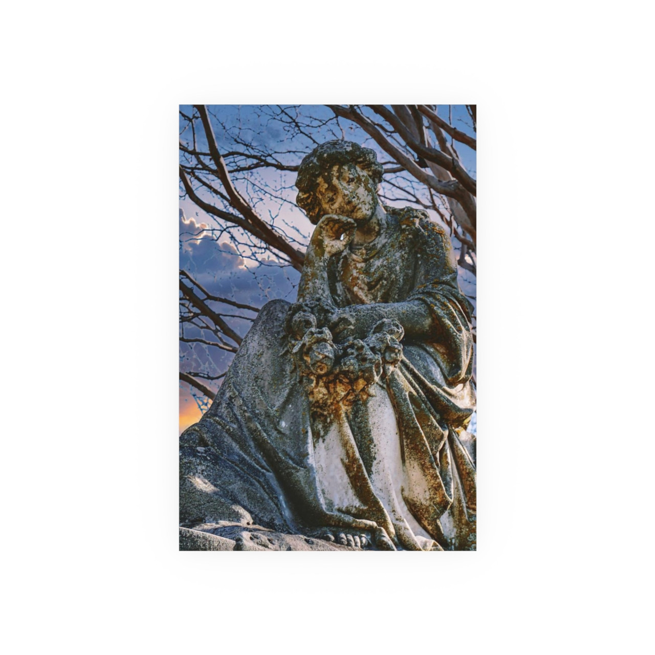 Thoughtful Guardian - Photographic Print