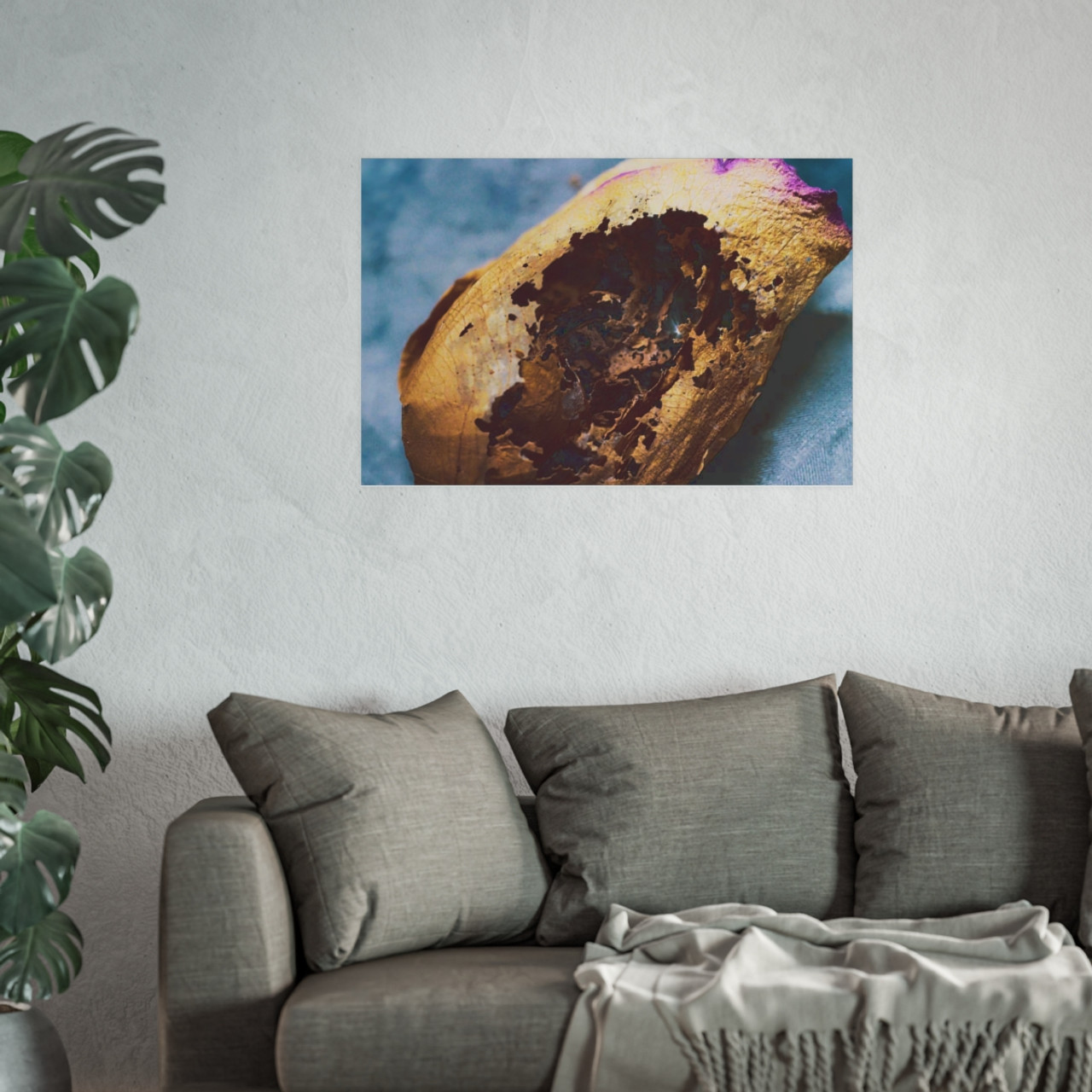 Beauty's Decay - Photographic Print