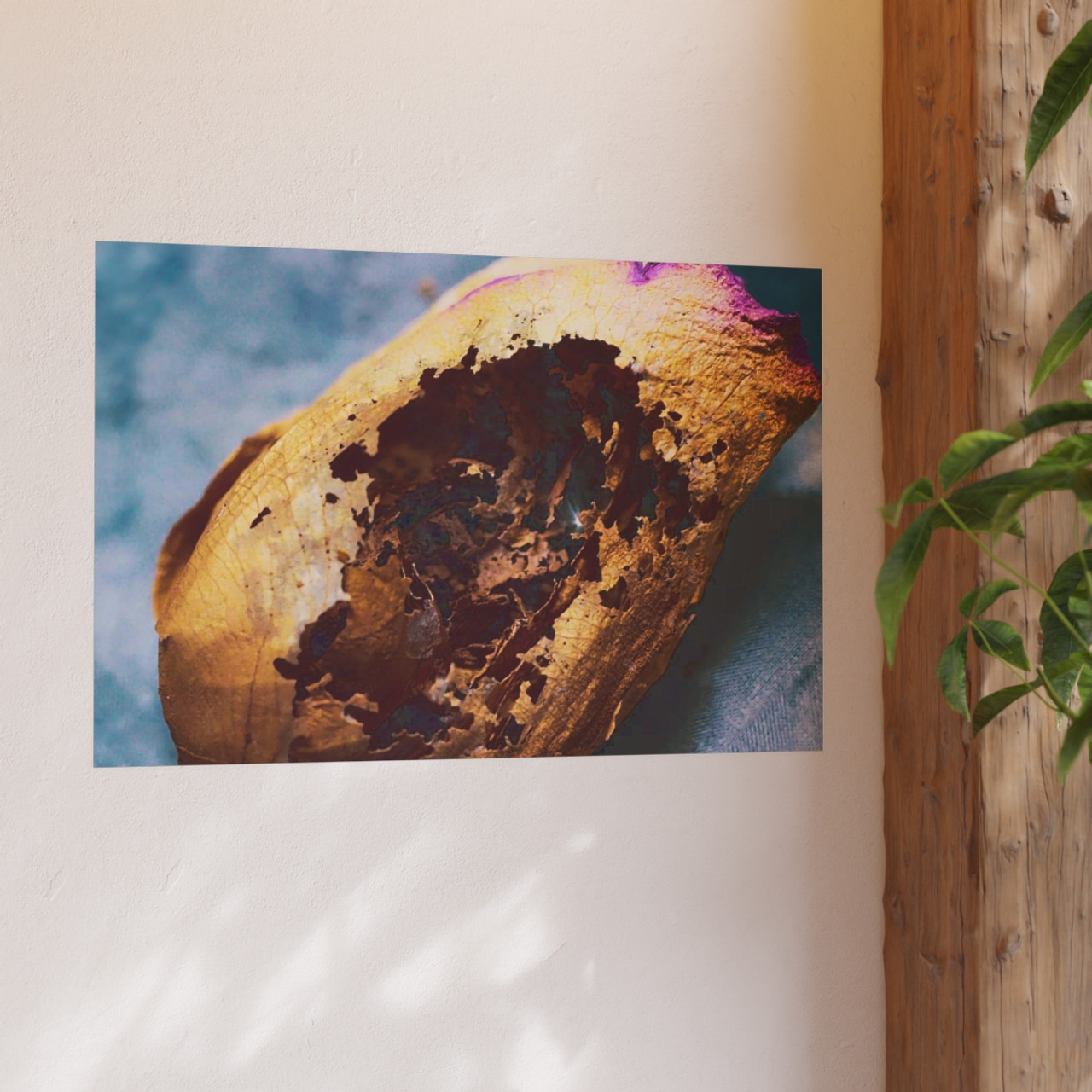 Beauty's Decay - Photographic Print