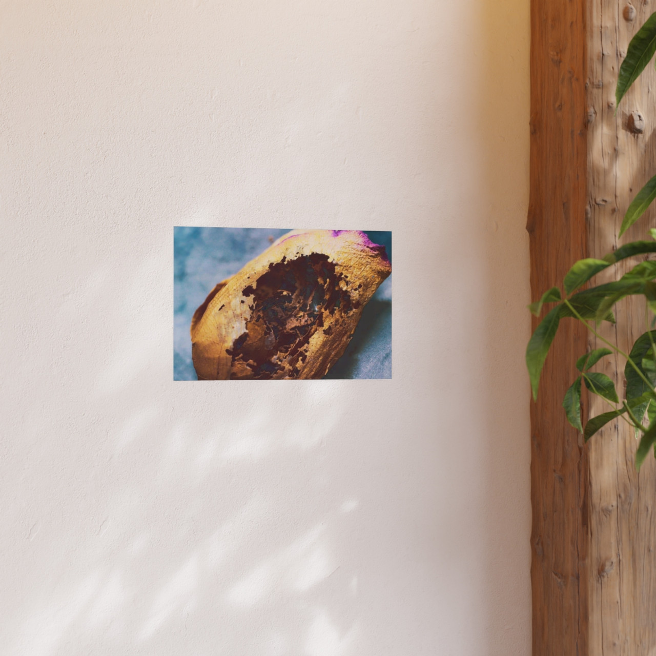 Beauty's Decay - Photographic Print