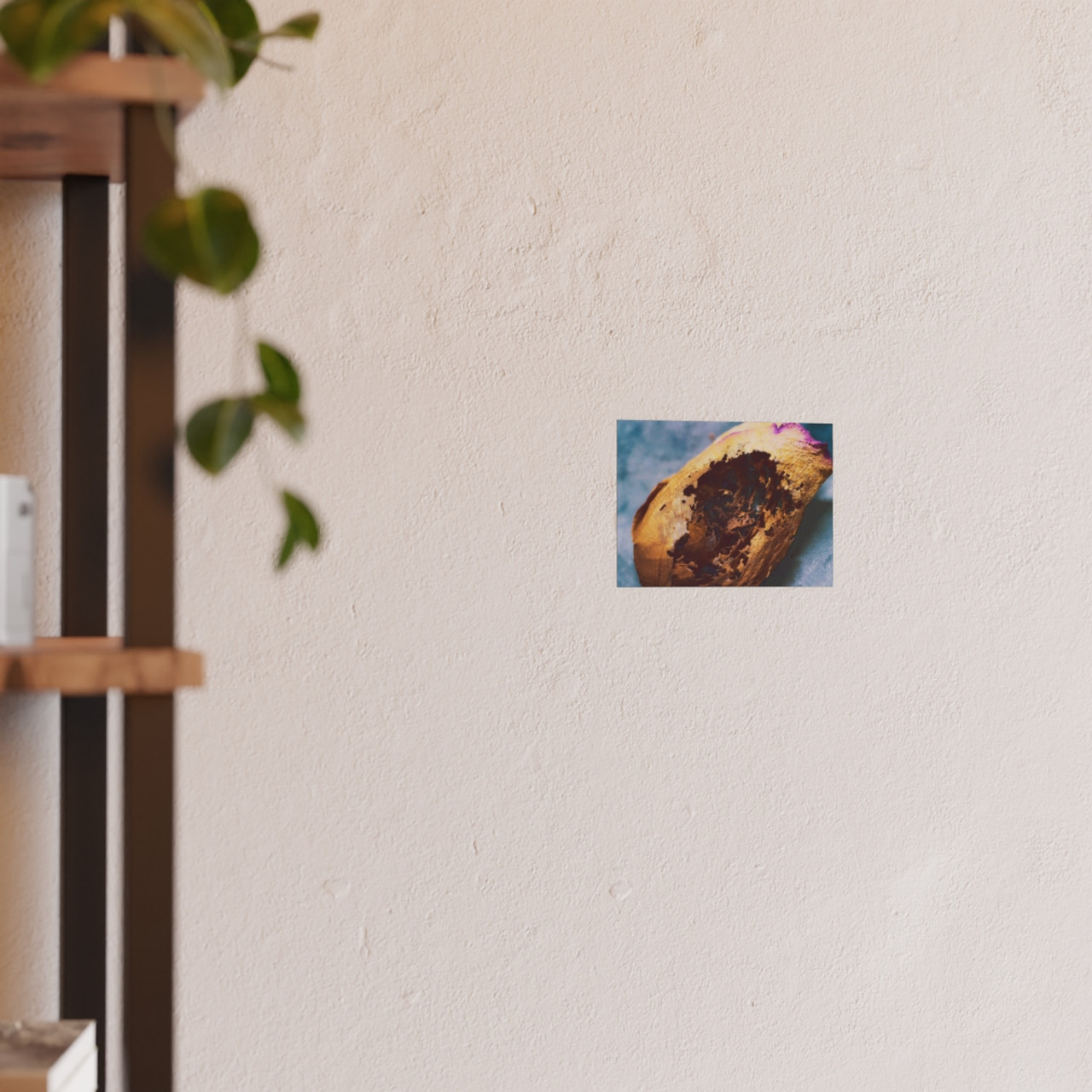 Beauty's Decay - Photographic Print