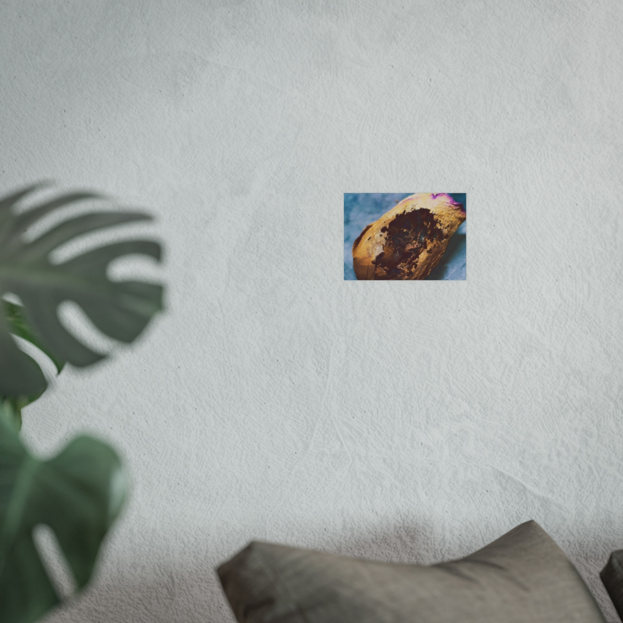 Beauty's Decay - Photographic Print