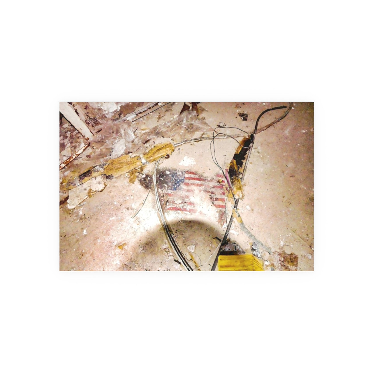 July 4th 2076 - Photographic Print
