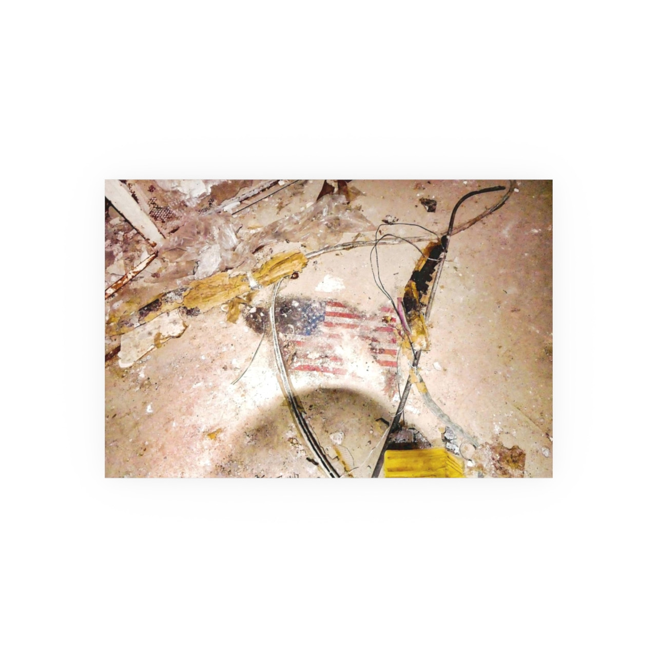July 4th 2076 - Photographic Print