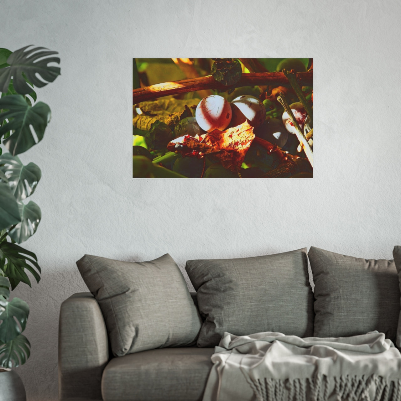 Berries- Photographic Print