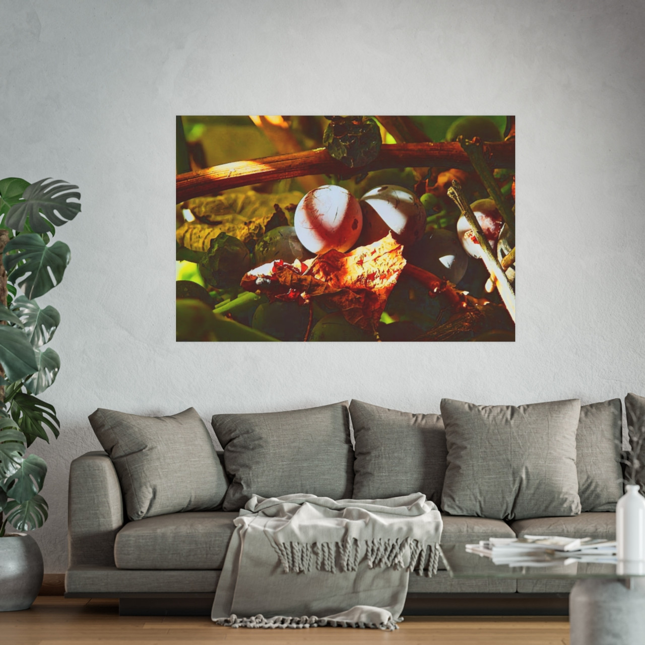 Berries- Photographic Print