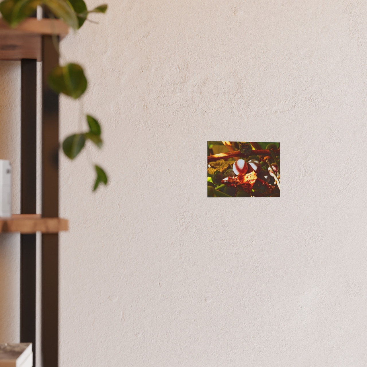 Berries- Photographic Print