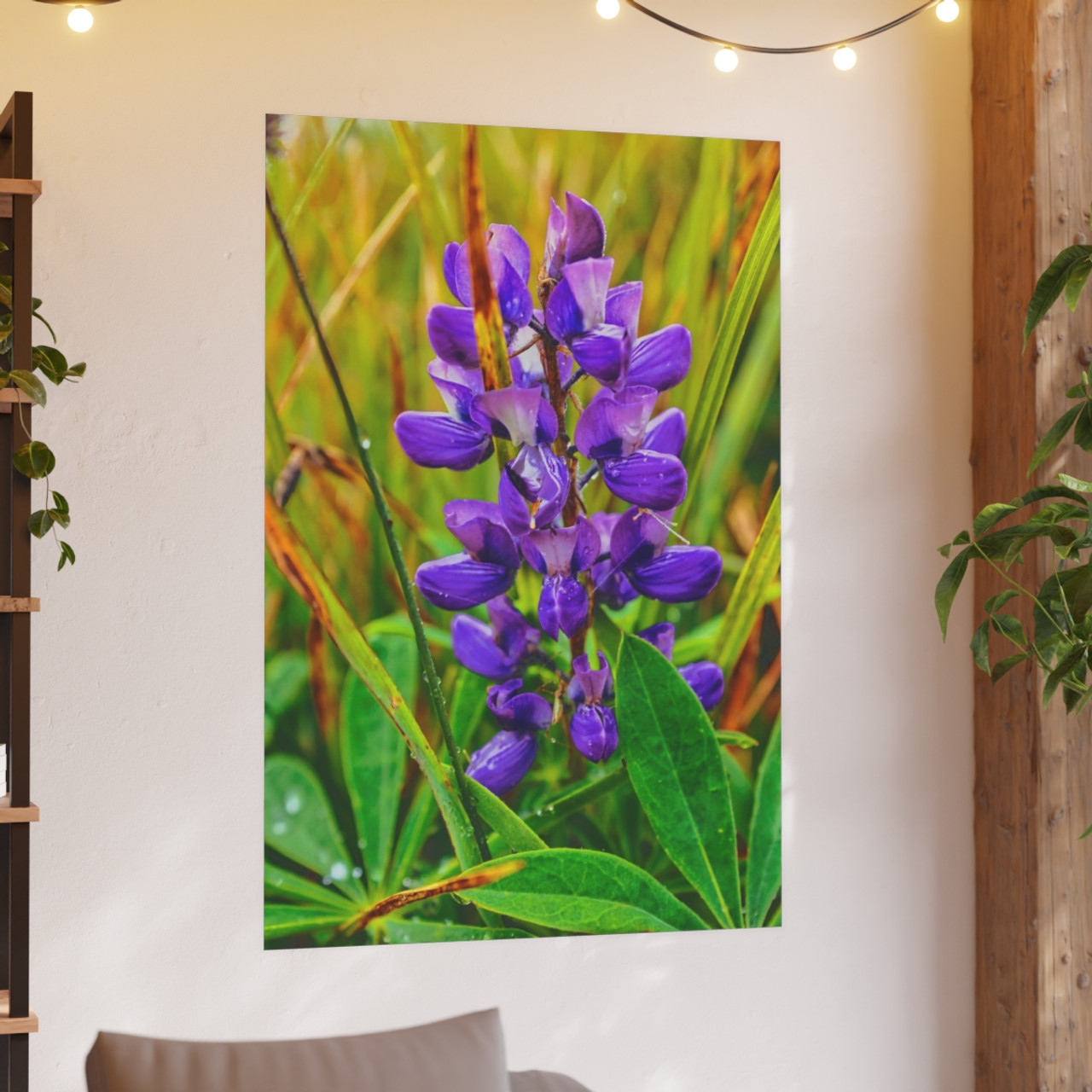 Lupine Love - Photographic Print