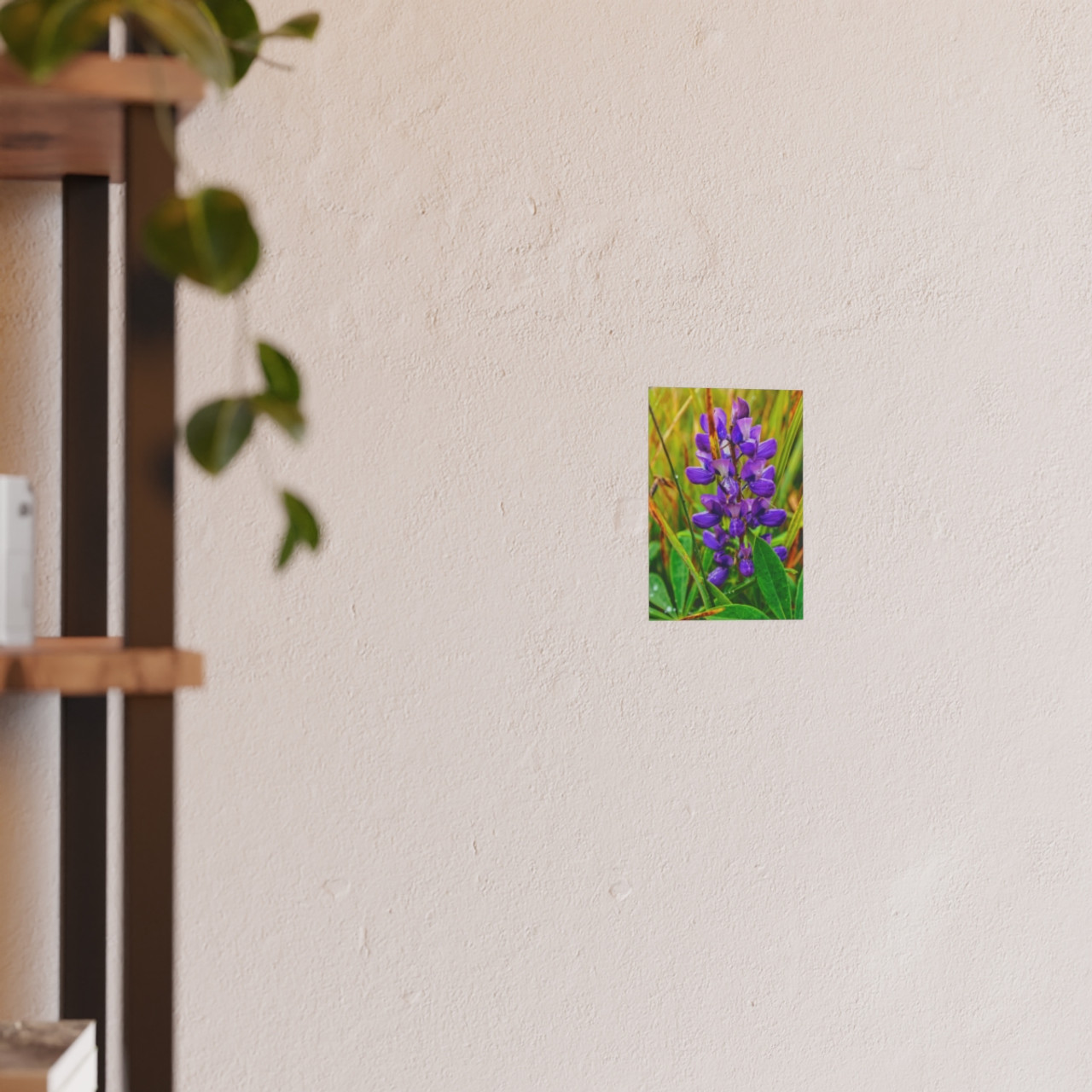 Lupine Love - Photographic Print