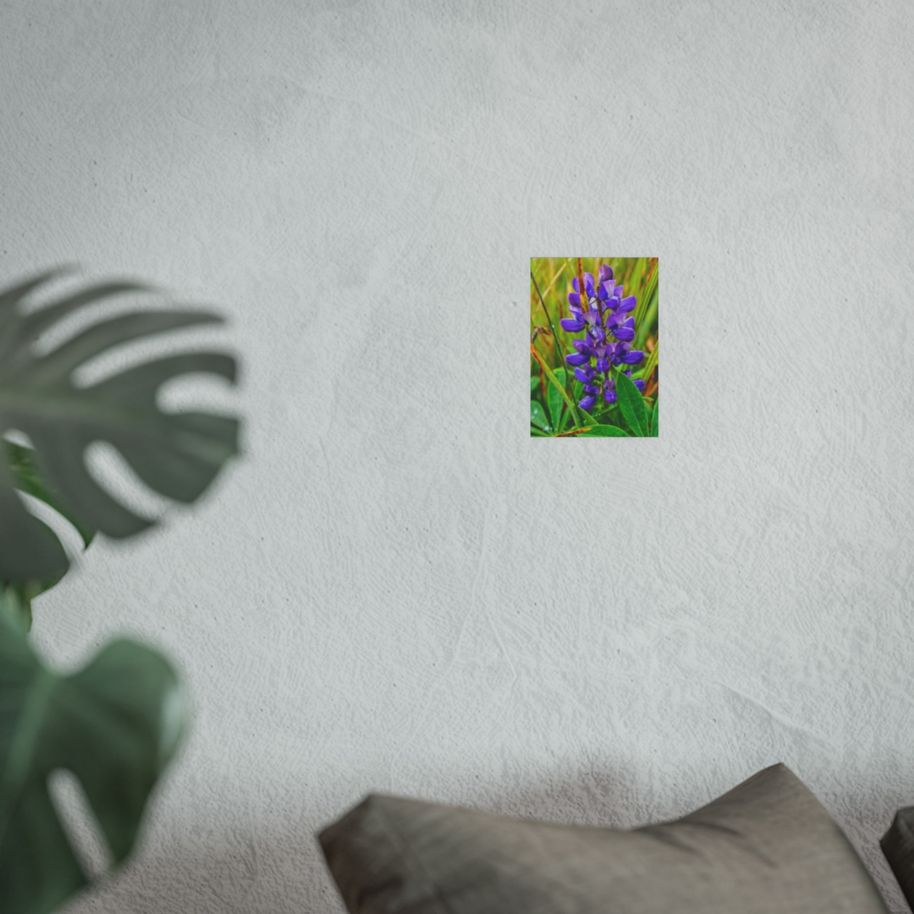 Lupine Love - Photographic Print