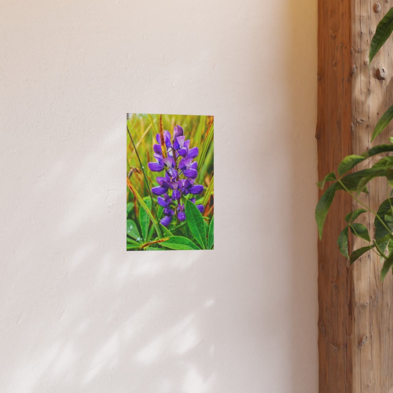 Lupine Love - Photographic Print