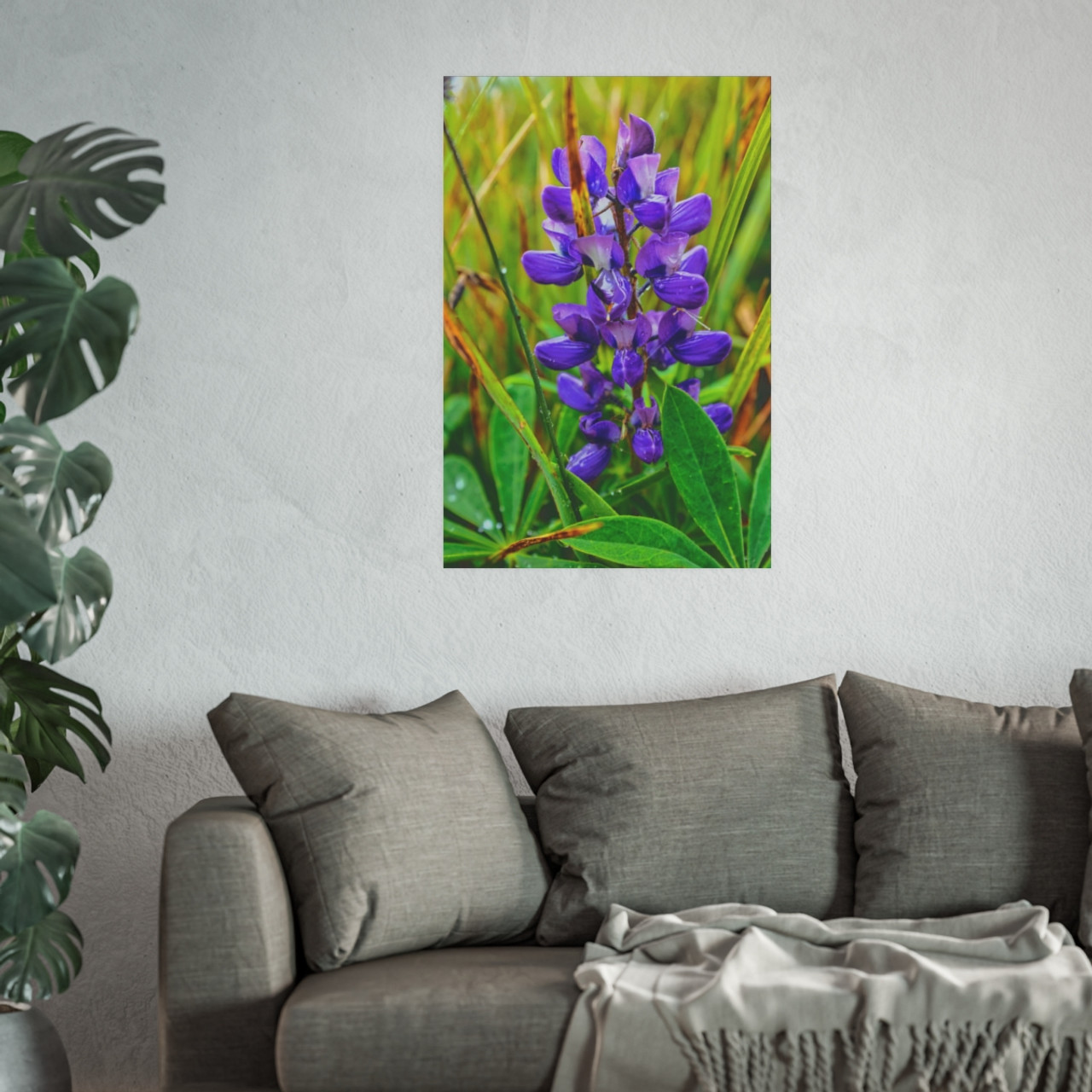 Lupine Love - Photographic Print