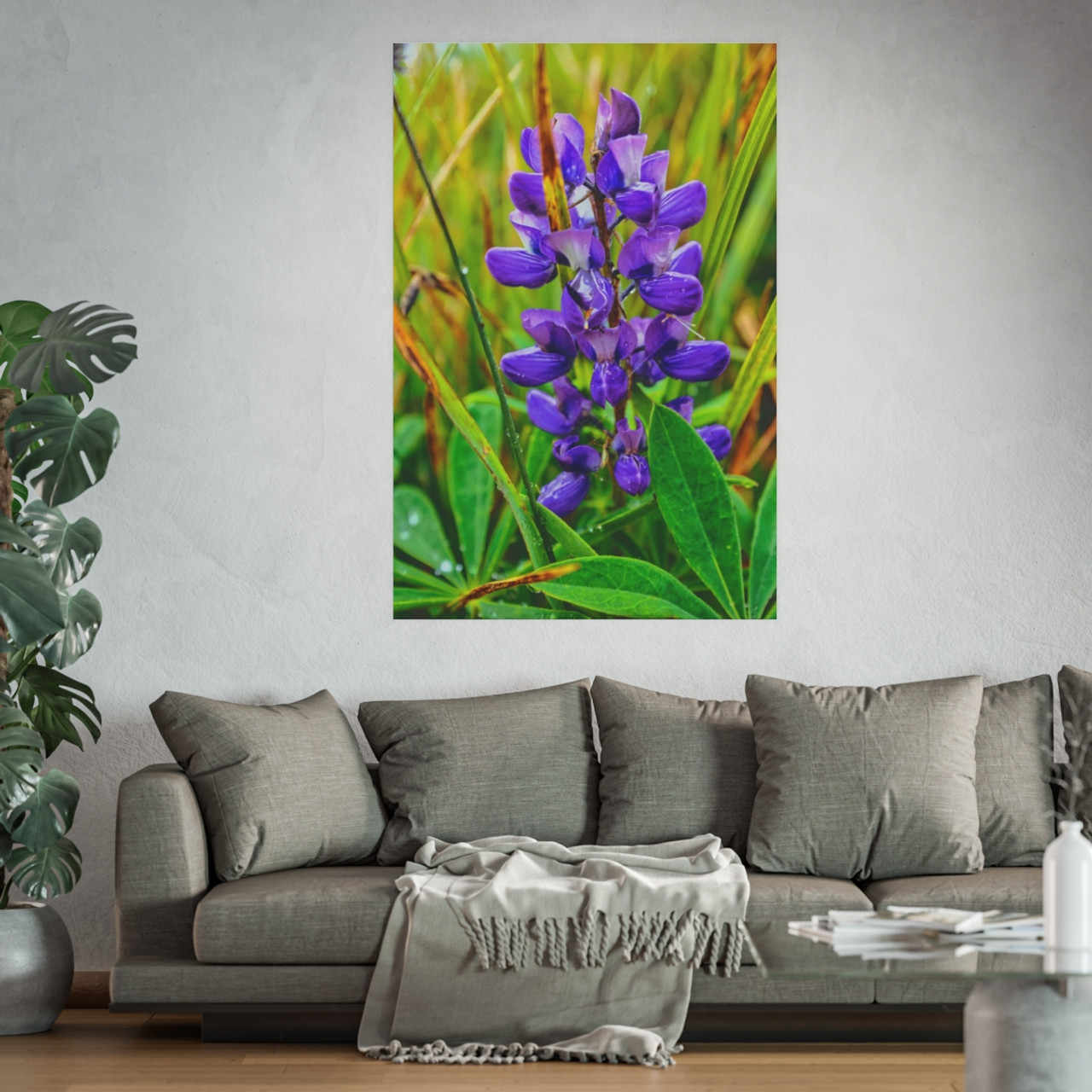 Lupine Love - Photographic Print