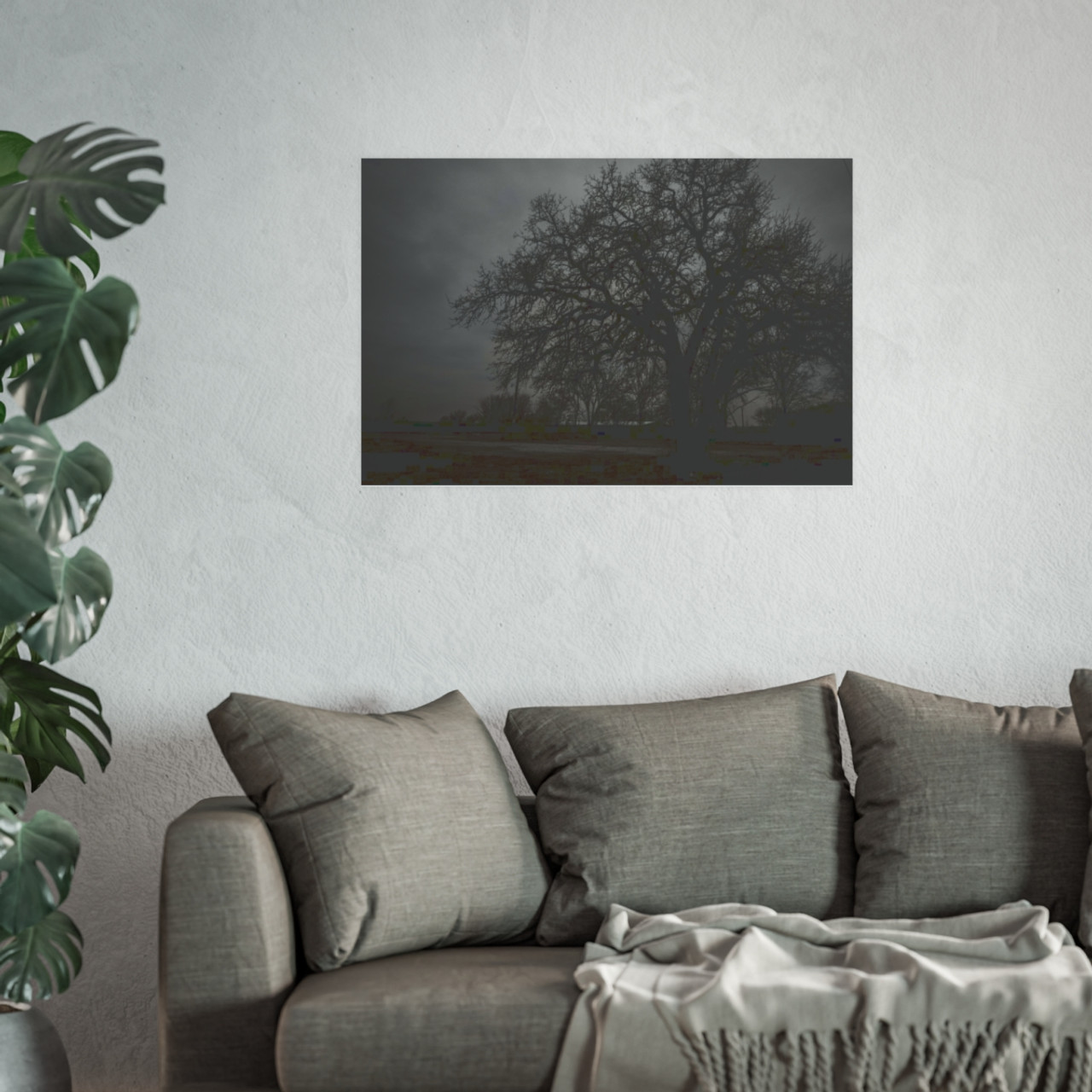 Haunted Oak - Photographic Print