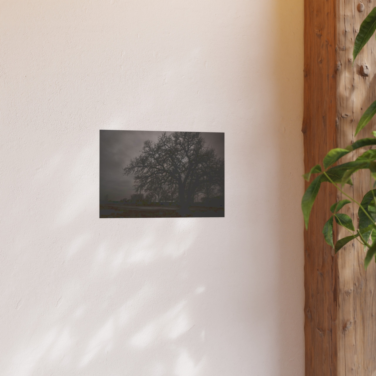 Haunted Oak - Photographic Print